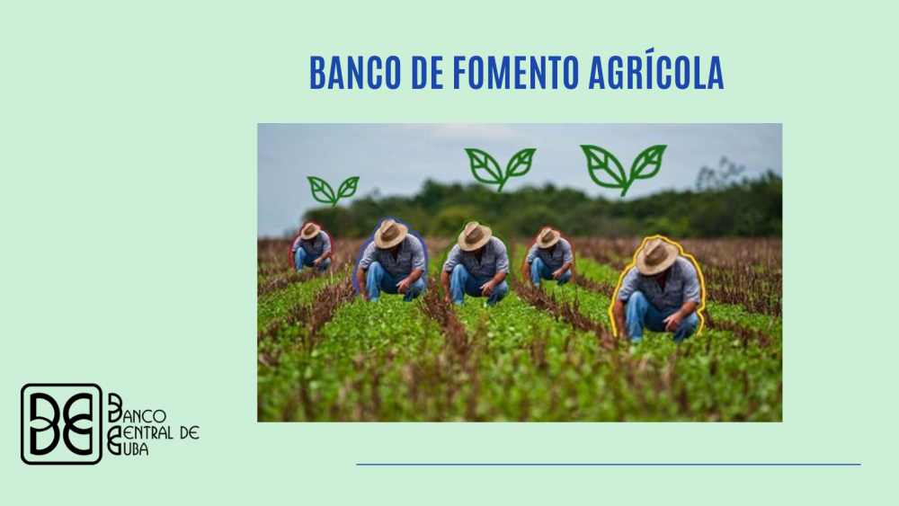 Imagen relacionada con la noticia :Comenzará a implementarse el Banco de Fomento Agrícola